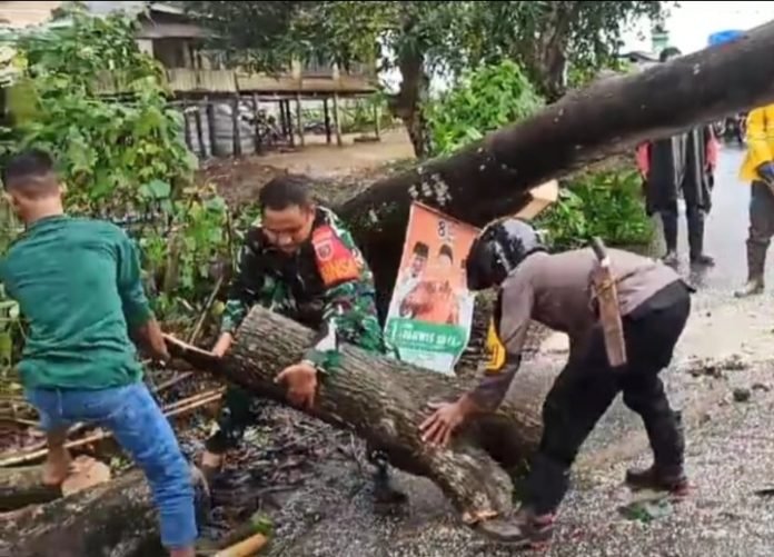 TNI POLRI Dan Warga Gotong Royong Evakuasi Pohon Tumbang Jejakkasusnews Id Tegas Terpercaya